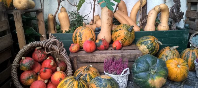 Herbstfest beim Martin Sepp